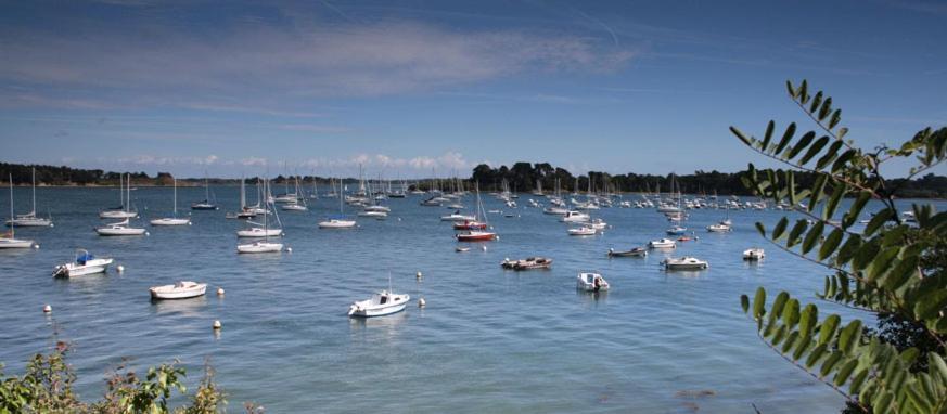La Ferme Du Vincin Bed & Breakfast Vannes Exterior foto